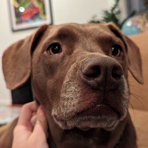 Meet your Posher, Nikki